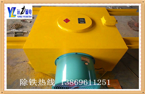 風(fēng)冷式電磁除鐵器供應